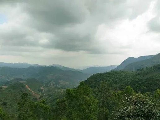 Ananthagiri Hills Coffee Plantation Viewpoint