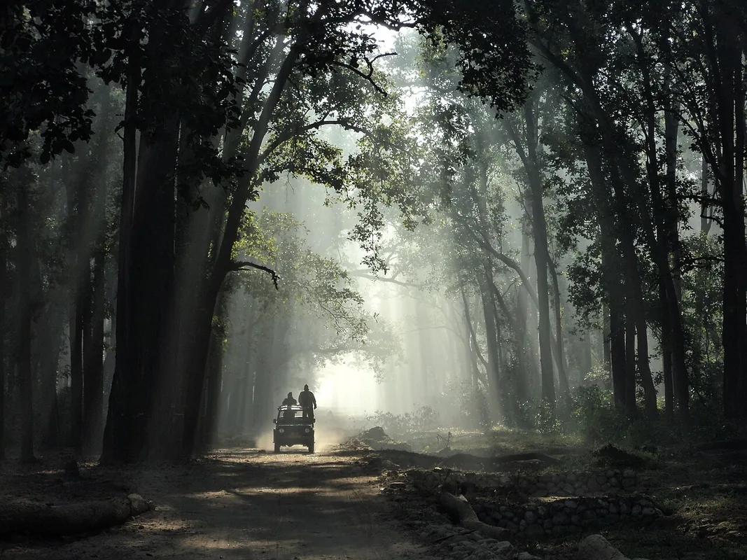 Jim Corbett National Park