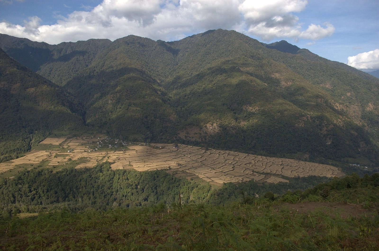 Jigme Singye Wangchuck National Park