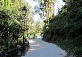 Camel's Back Road