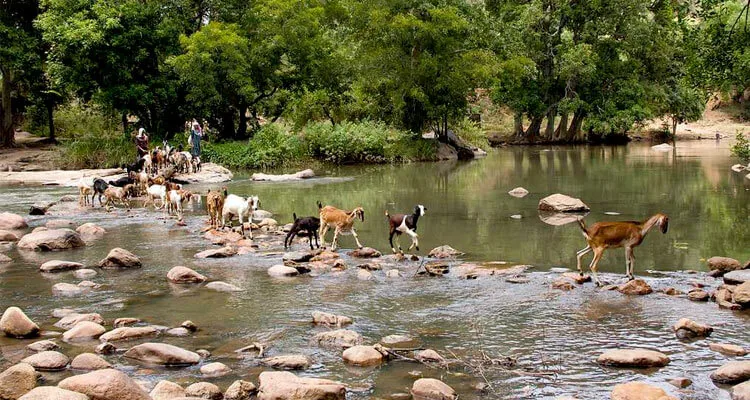 Chinnar Wildlife Sanctuary