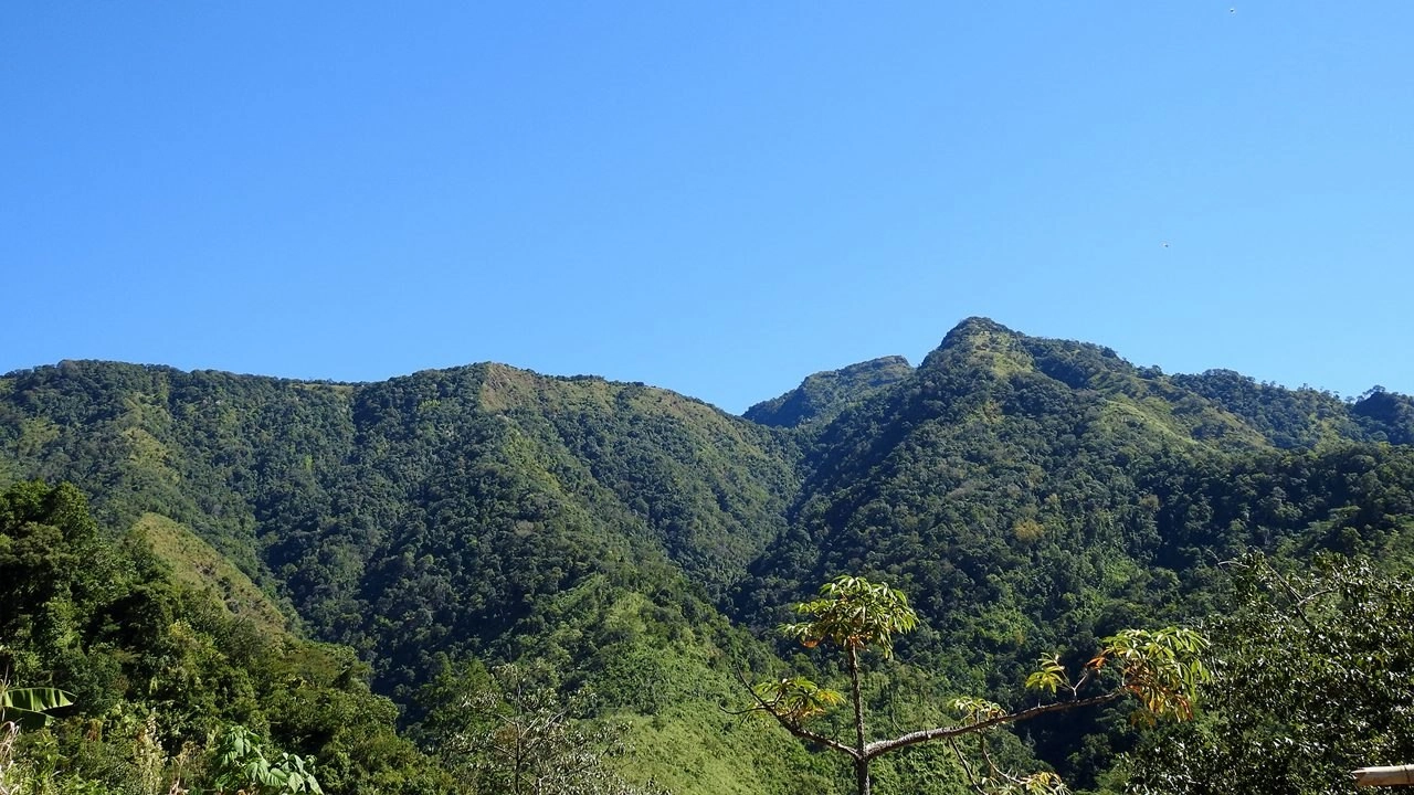Murlen National Park