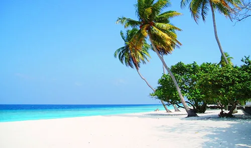 Marari Beach