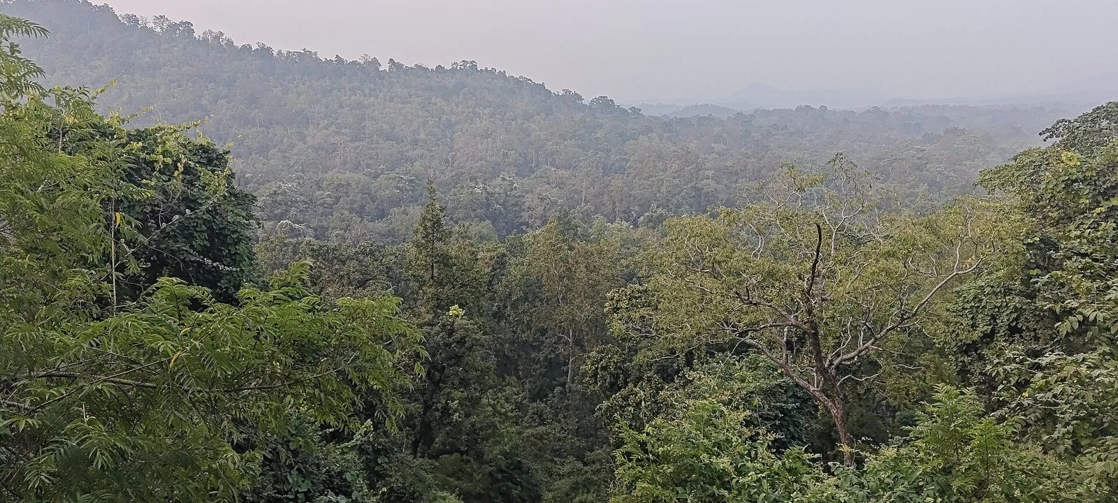 Betla National Park
