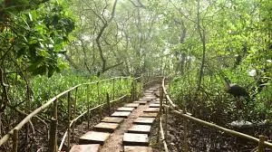 Dr Salim Ali Bird Sanctuary