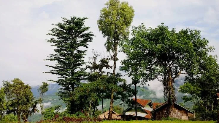 Shangnyu Village