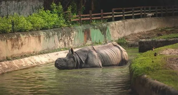 Alipore Zoological Garden