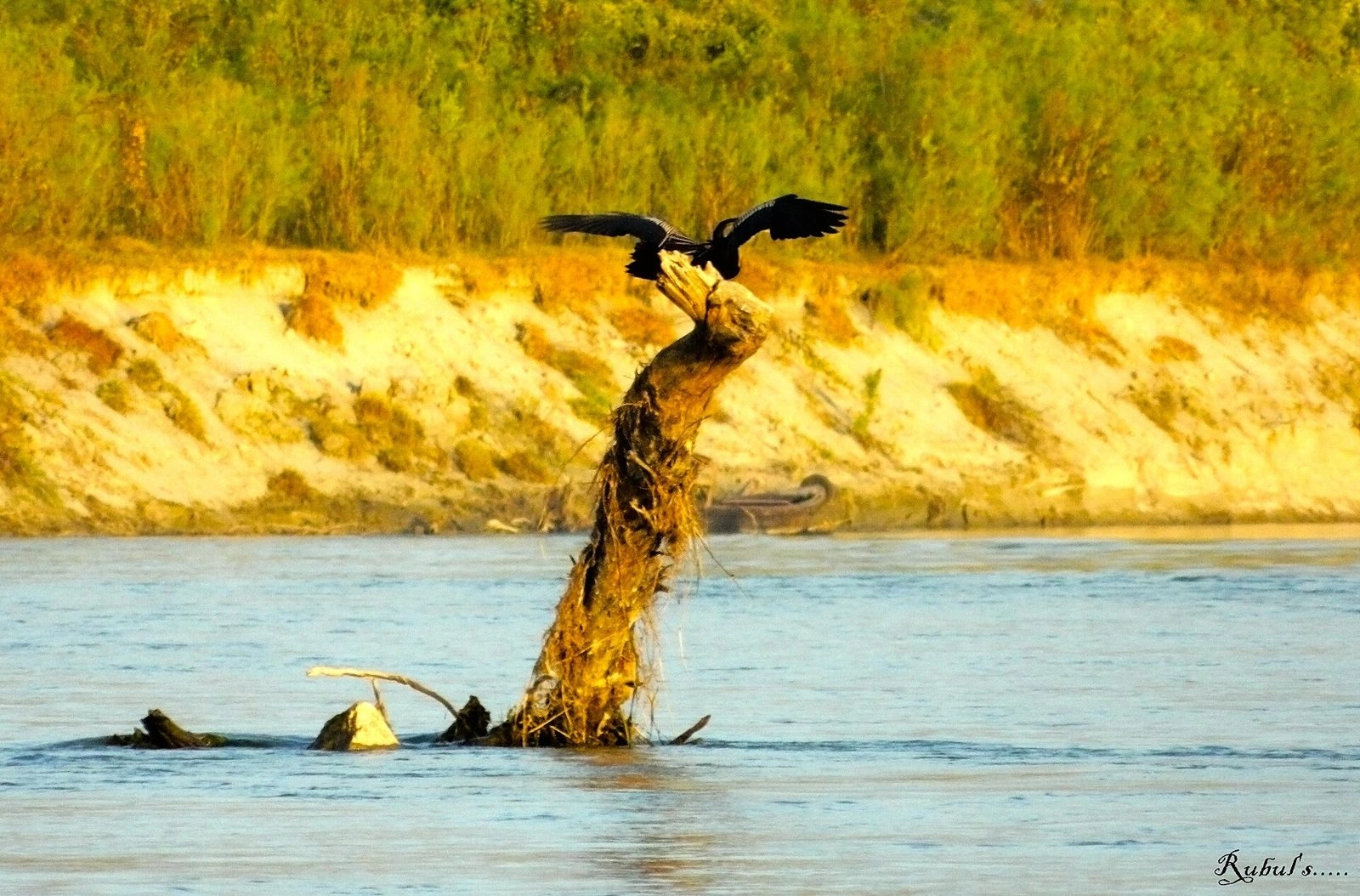 Dibru Saikhowa National Park