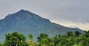 Arunachala Hill (Annamalai Hill)