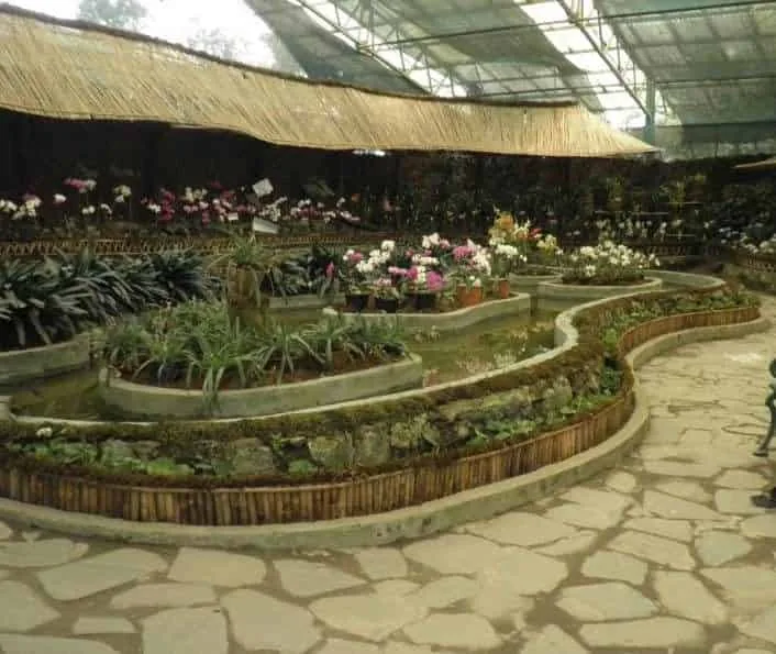 Pandit Nehru Botanical Gardens