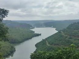 Nagarjunsagar-Srisailam Tiger Reserve
