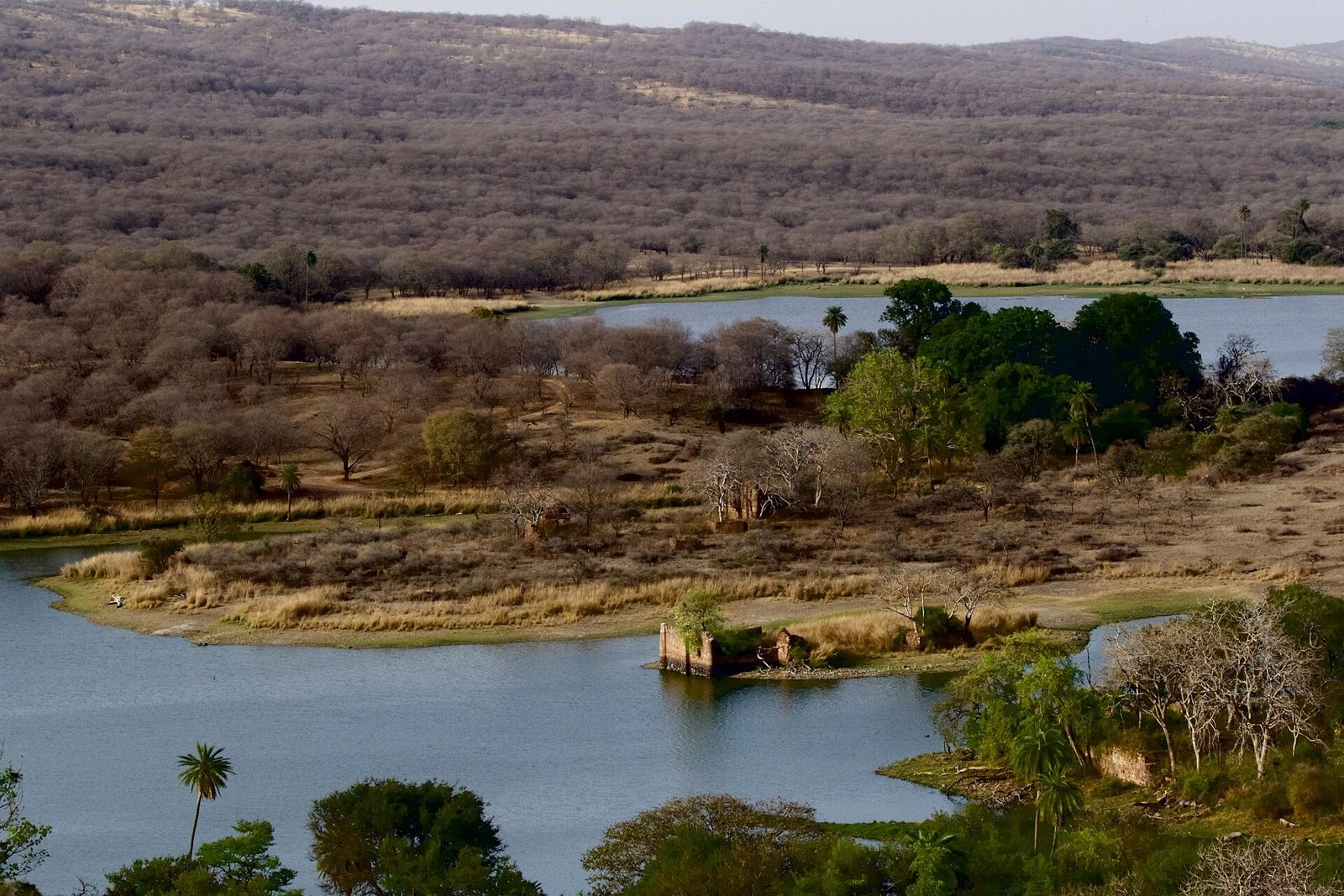 Ranthambore Core Zones 1 to 5