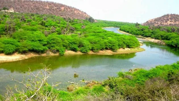 Ramgarh Vishdhari Tiger Reserve