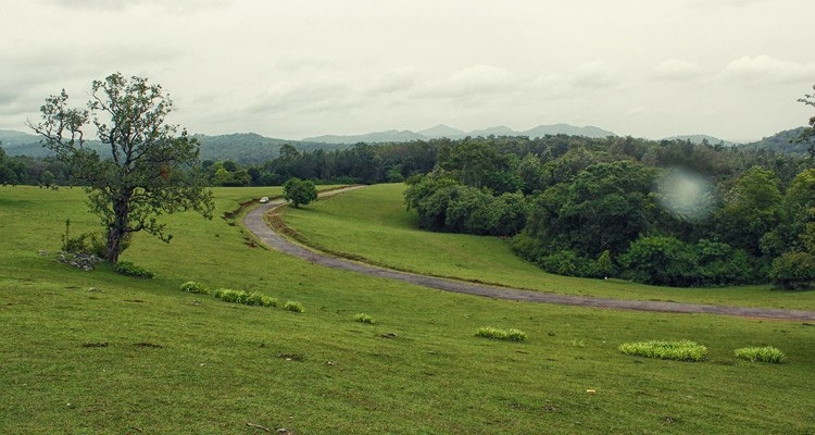 Somwarpet