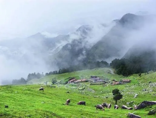 Chopta Valley