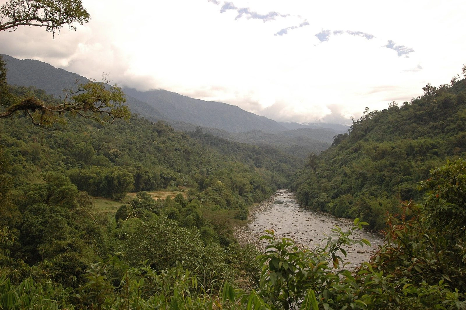 Namdapha National Park
