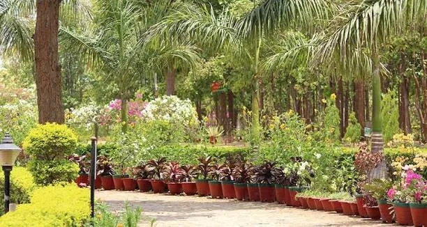Biodiversity Park