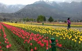 Indira Gandhi Memorial Tulip Garden