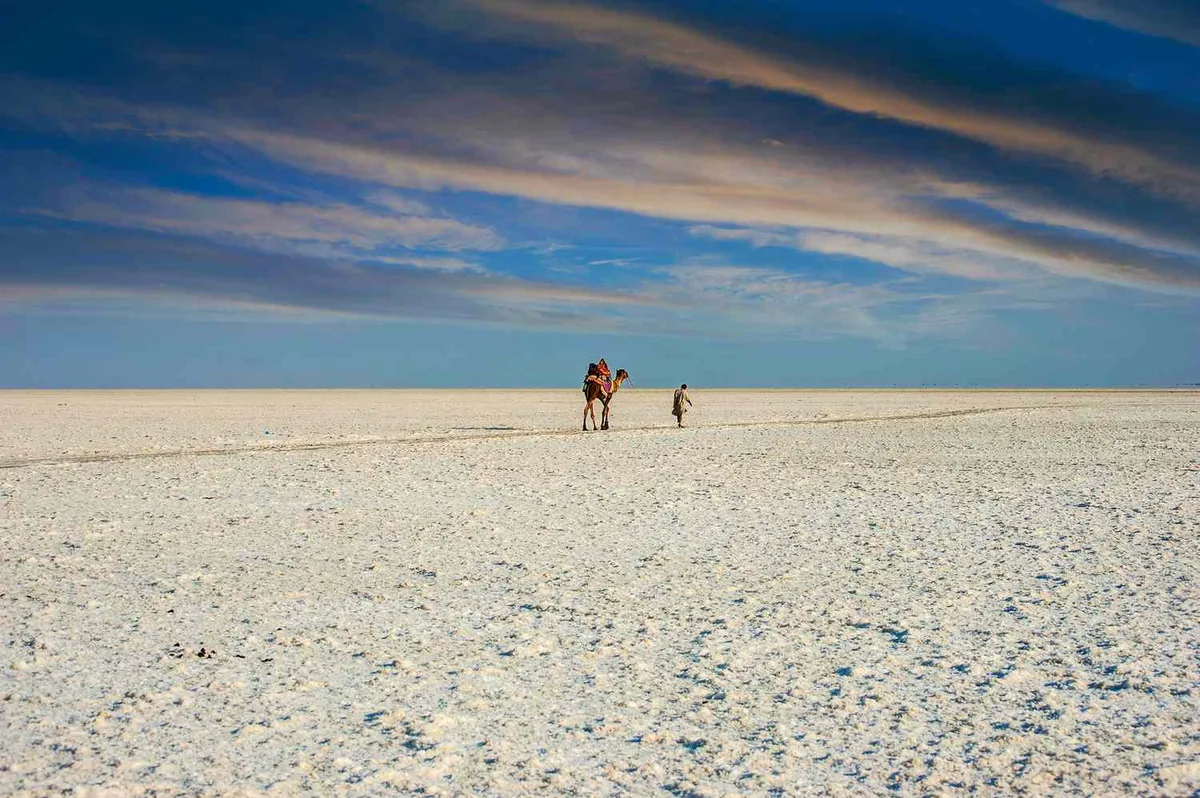 Great Rann of Kutch (White Rann)