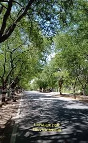 Girivalam Path