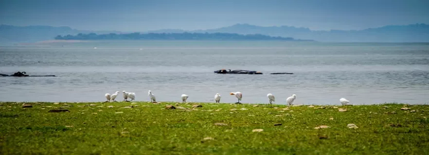 Maharana Pratap Sagar Wildlife Sanctuary