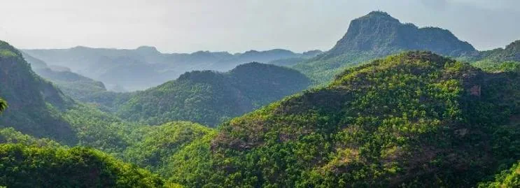 Priyadarshini Point (Forsyth Point)
