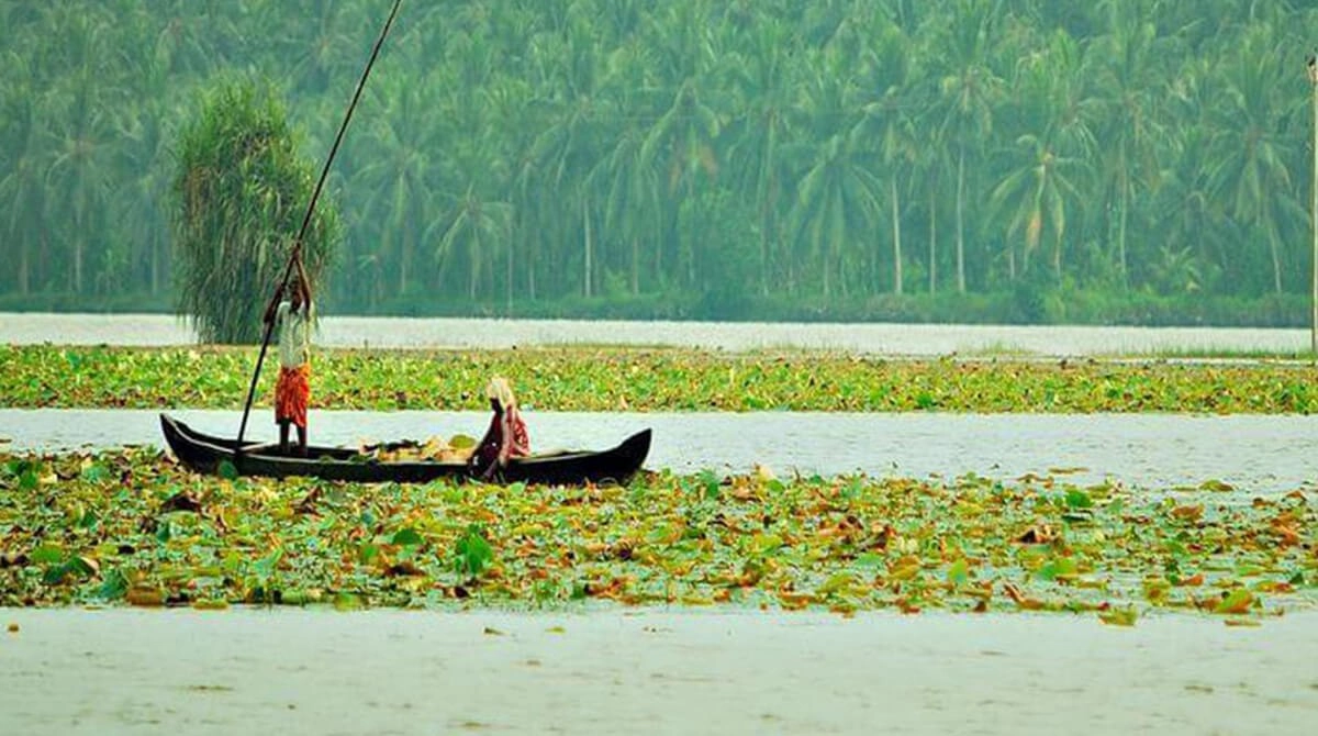 Vellayani Lake
