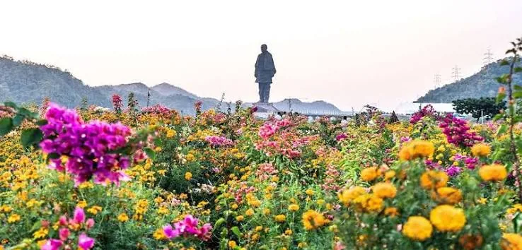 Valley of Flowers Kevadia