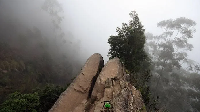Dolphin's Nose