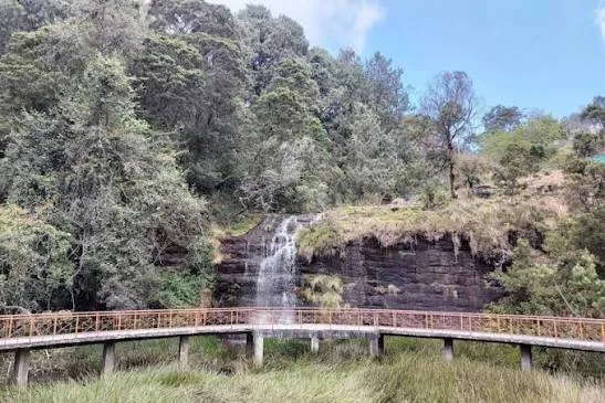 Fairy Falls
