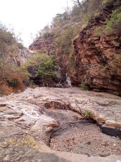 Prahalada Padi