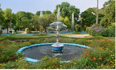 Botanical Garden
