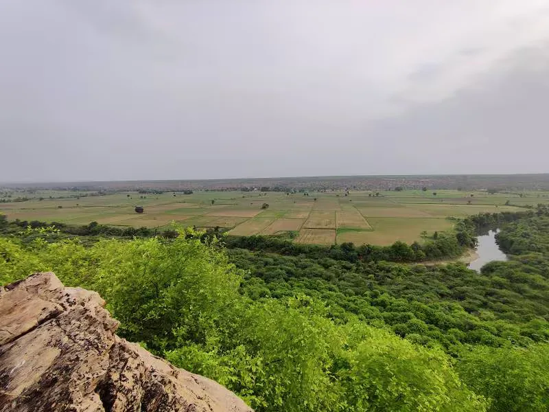 Darrah Wildlife Sanctuary