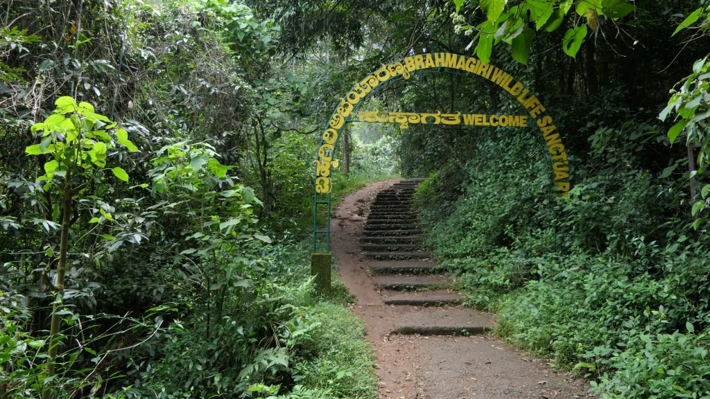 Brahmagiri Wildlife Sanctuary & Trek