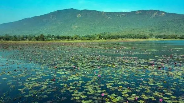 Dimna Lake