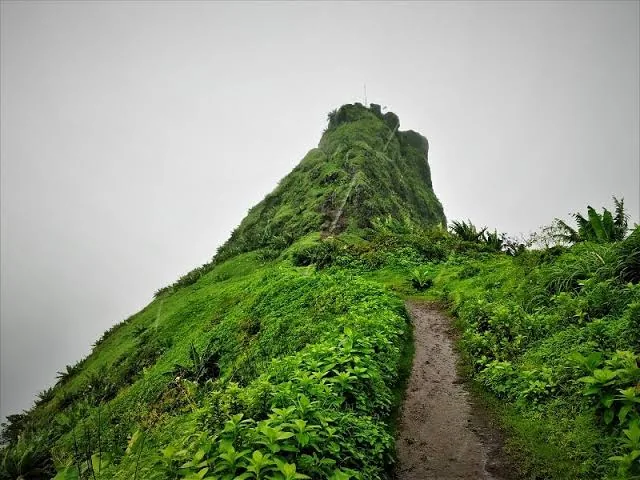 Tung Fort