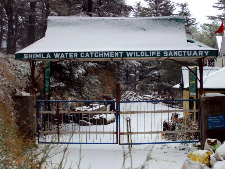 Shimla Water Catchment Wildlife Sanctuary