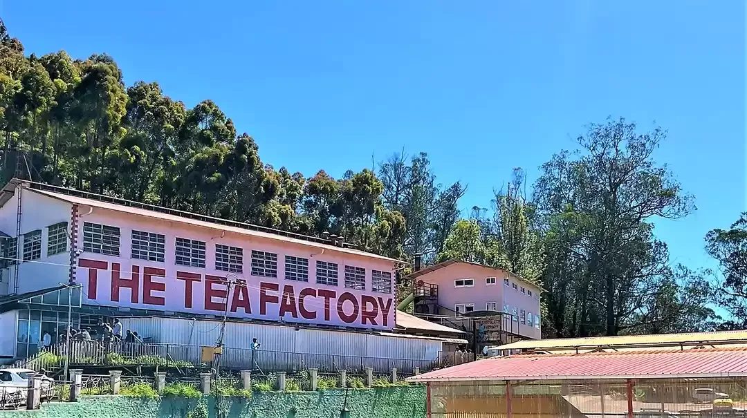 Nilgiri Tea Museum