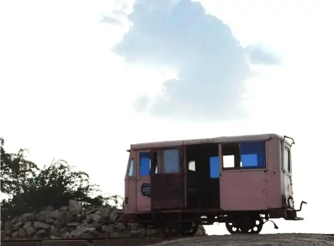 B) The Pink Buggy: A Ride Through Sambhar’s Salt Pans