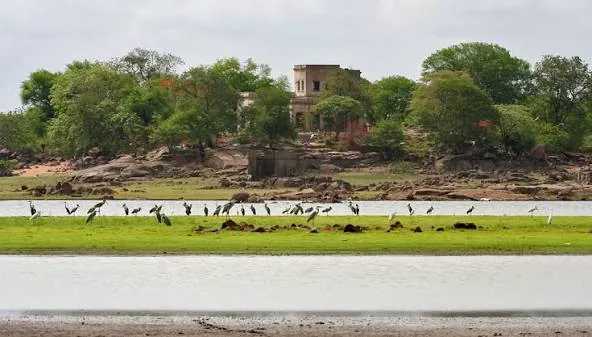 Pocharam Dam and Wildlife Sanctuary