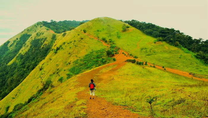 Kodachadri Peak