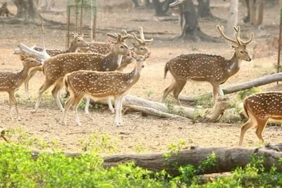 Ballavpur Wildlife Sanctuary