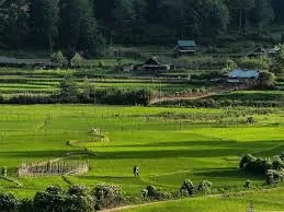 Hari Village