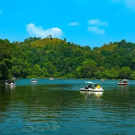 Pookode Lake
