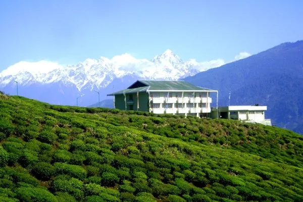 Temi Tea Garden