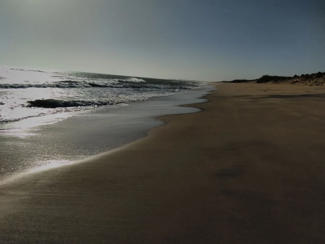 Pingleshwar Beach