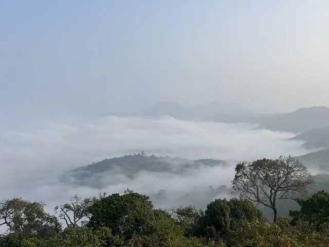 Lambasingi Coffee Estates