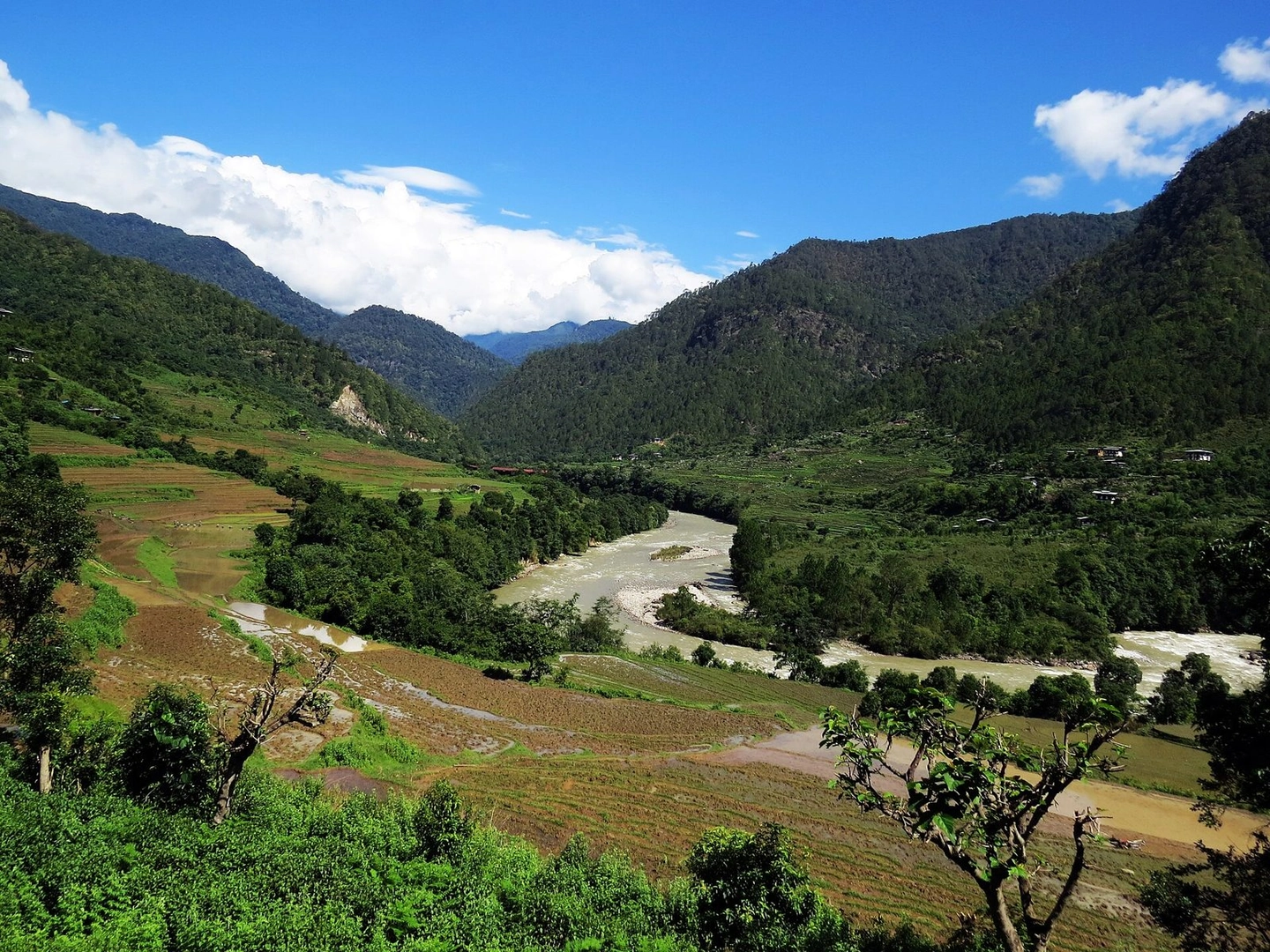 Jigme Dorji National Park