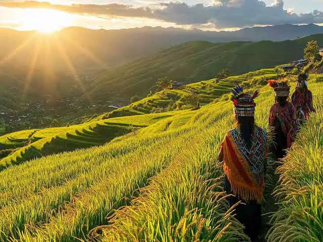 Ziro Valley