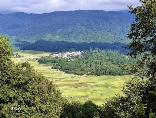 Hong Village